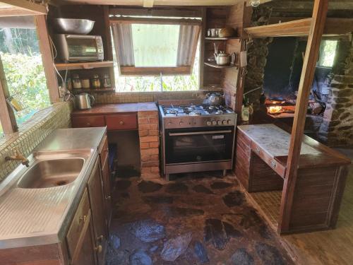 Where The Forest Meets The Sea in บลูมฟิลด์