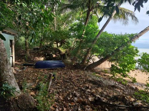 Where The Forest Meets The Sea in บลูมฟิลด์