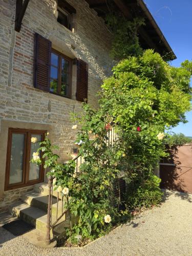 Kert, Les Vignes du Mâconnais (Les Vignes du Maconnais) in Saint Gengoux De Scisse