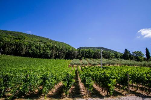 Surrounding environment, Cantina Semonte Wine Resort in Gubbio