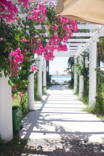 Meteor Beach Hotel
