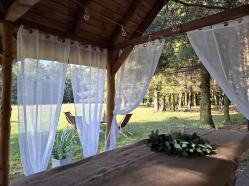 Attractions, Apartament Zielony - Dom Nasutow in Niemce