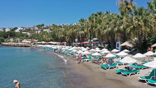 Meteor Beach Hotel
