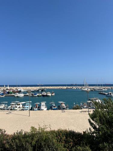 Skats, Zygi Beachfront Retreat! in Zygi