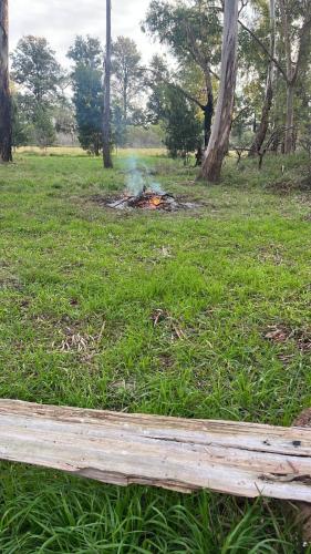 Alamos de Carlos Keen