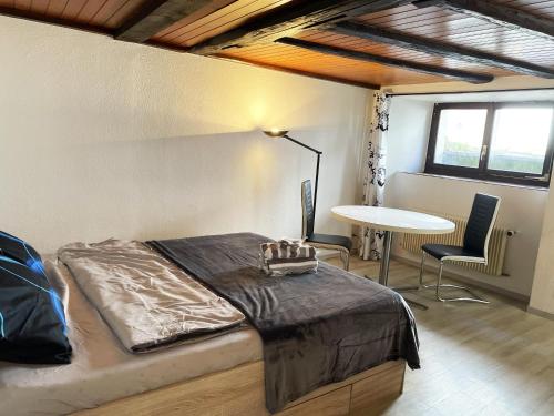 Studio Saignelégier de plain pied (Studio Saignelegier de plain pied) in Saignelegier