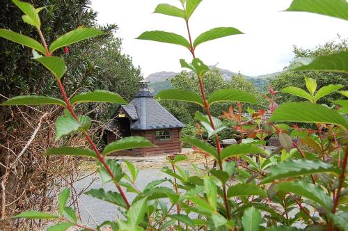 Viesnīcas āriene, Fegla Fawr - Rustic, rural farmhouse near Barmouth in Fērburna
