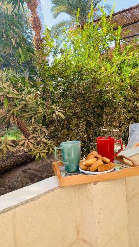ABU Nubian Guest House in Aswan
