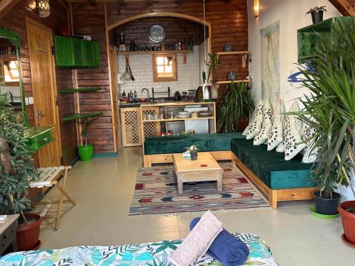 Beach front studio with huge roof top terrace, Dahab (fotografie 6)