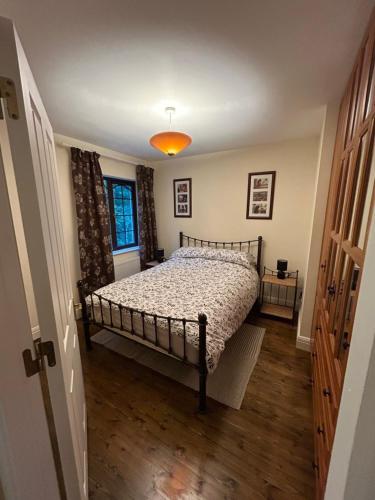 Lough Rinn - Mac Raghnaill Court in Mohill