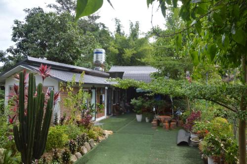 Papa's Garden - Homestay Ha Giang - 정원