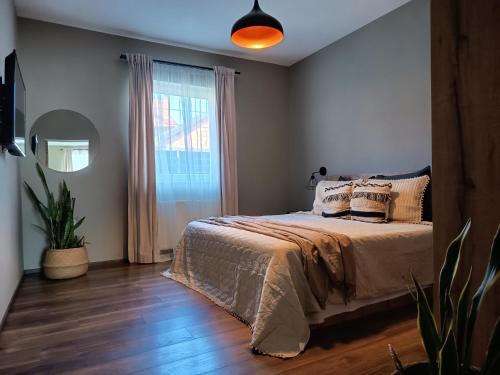 Apartments Vidanovic in Lagadin