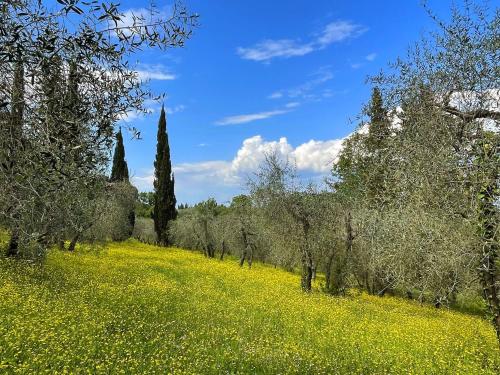 Villa La Capanna - image 13
