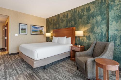 1 king bed