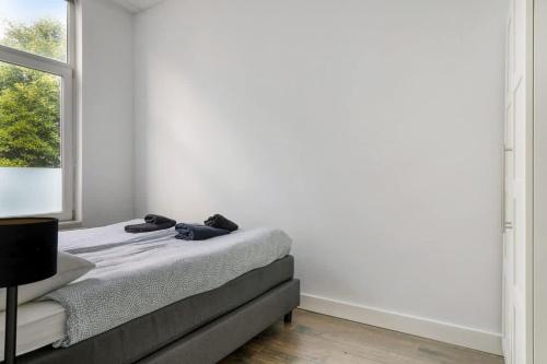 Comfortabel Appartement - image 3