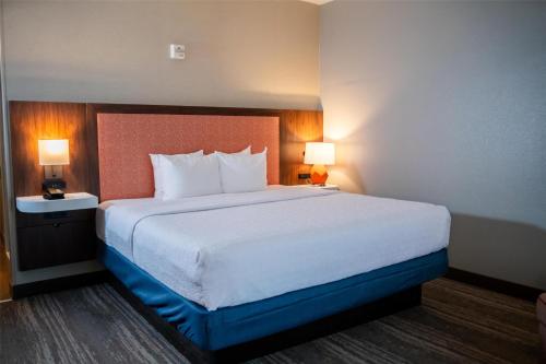 Hampton Inn Gonzales - image 6
