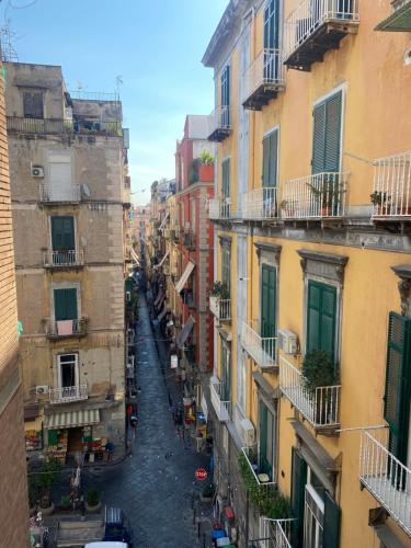 Alvarez De Toledo – Naples, CO