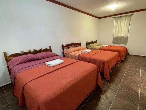 Hotel Campestre in Xpujil