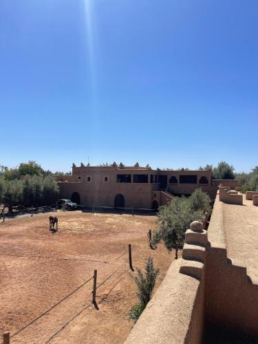 . Skoura Ranch Palm Grove