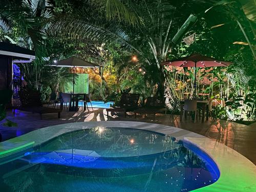 7 bedrooms with pools, jungle around and 200 meters to the beach!, Cocles (fotografie 7)