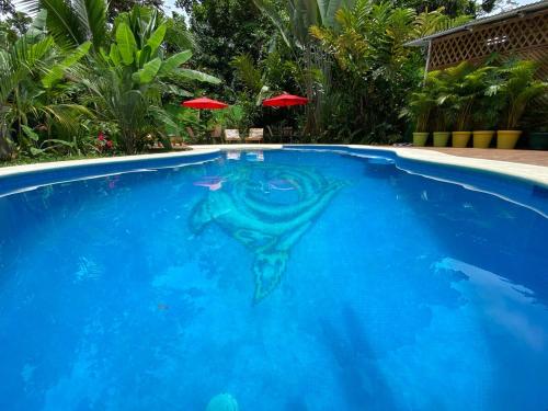 7 bedrooms with pools, jungle around and 200 meters to the beach!, Cocles