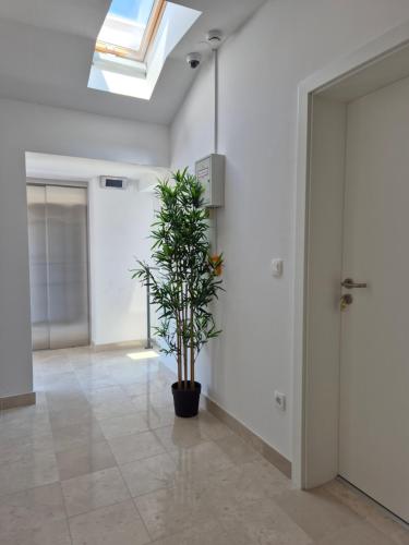 Hotel Jelena - Hôtel - Brnaze