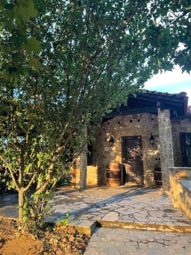 Ampeli StoneΗouse gîte à louer Askós