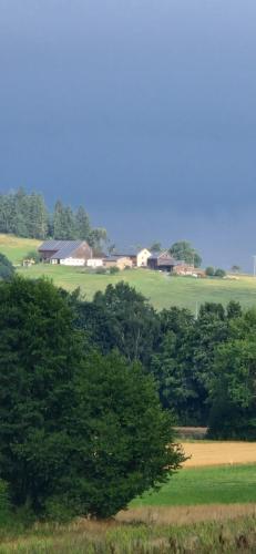 Burgblick in Kemnath