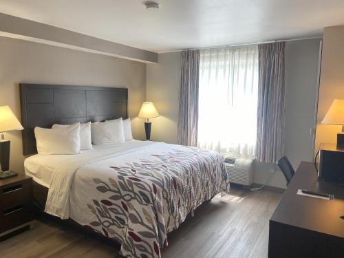 Comfort Inn - image 16