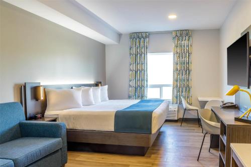 1 king bed