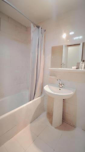 Shady Hotel Luxor downtown Room Type - Double or Twin Room with City View