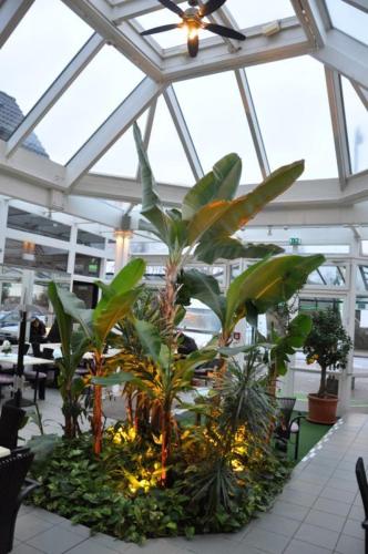 Вхід, Hotel-Cafe Kampe in Norderstedt