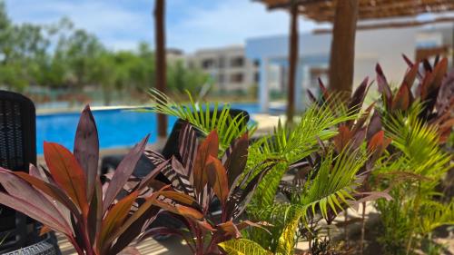 Cozy new apartment 3BR with amazing Pool, Cancún