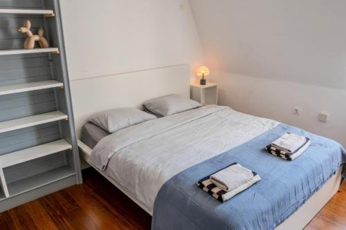 Central Castle View Apartment, Lublaň (fotografie 4)
