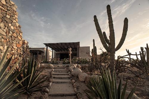 Desierto Azul in Todos Santos, Mexico