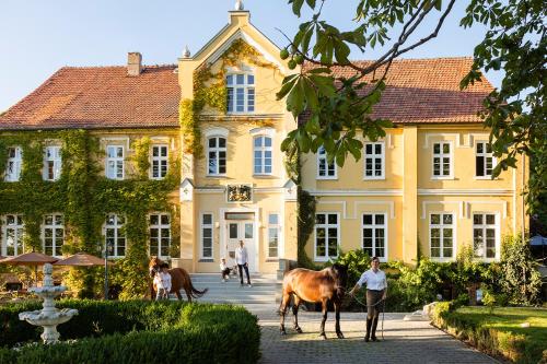 Neu renovierte, komplett ausgestattete Ferienwohnung mit 2 Schlafzimmern in Neu Gaarz