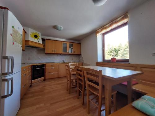 Apartma Teloh in Kopacnica