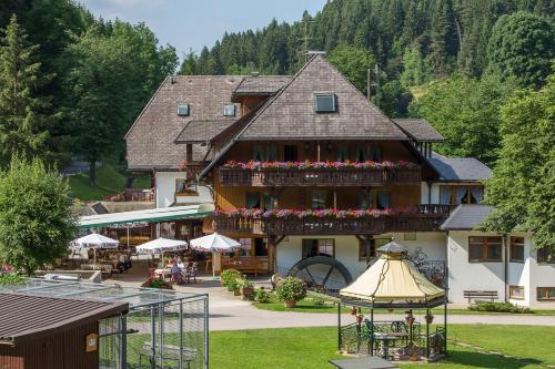 Tannenmühle - Hotel - Grafenhausen