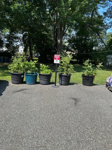 Cozy First Floor Apartment in ชิโคปี (MA)