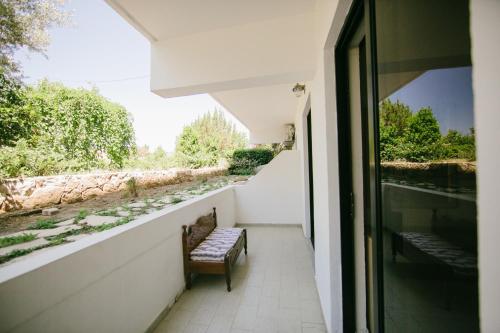 Gorgona Studios - image 13