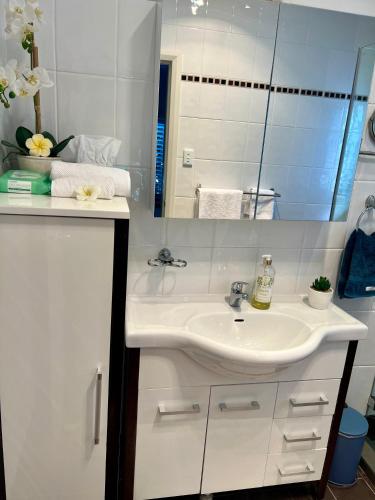 Monterey Guest Studio near Hospitals, Beach and Airport – Sydney, VA