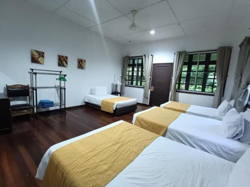 Mulu National Park in Mulu