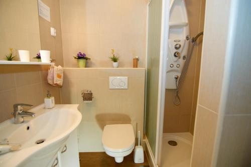 Dalmatian Stone House - image 11