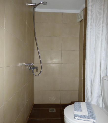 Camelia Studios & Apartments - image 8