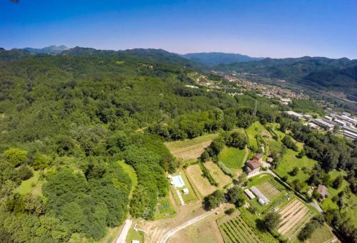 Agriturismo Il Frutteto - image 6