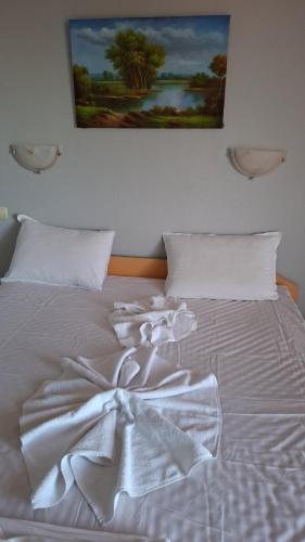 Complex Exotica, Lozenets (foto 4)