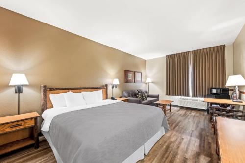 Quality Inn & Suites - image 8