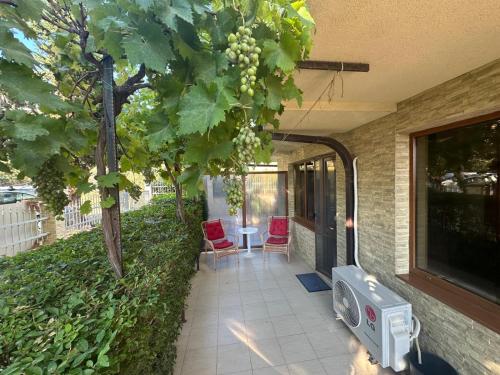Apartment Sunny Seasons Byala in Byala