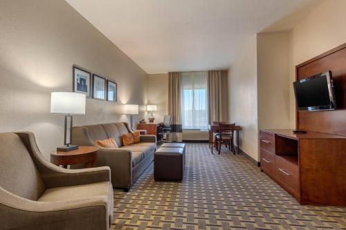 Comfort Suites Rolla - image 6