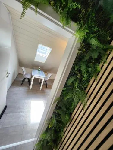 Ferienwohnung Friedland in Lahnstein, Deutschland